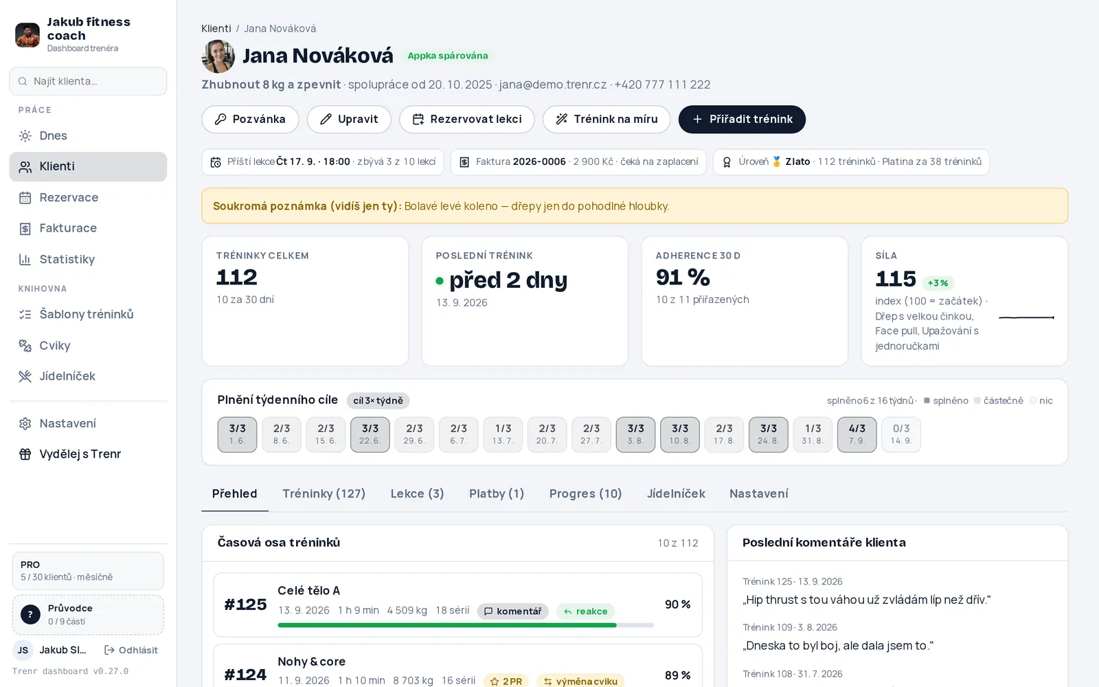 Dashboard v barvě Tmavá